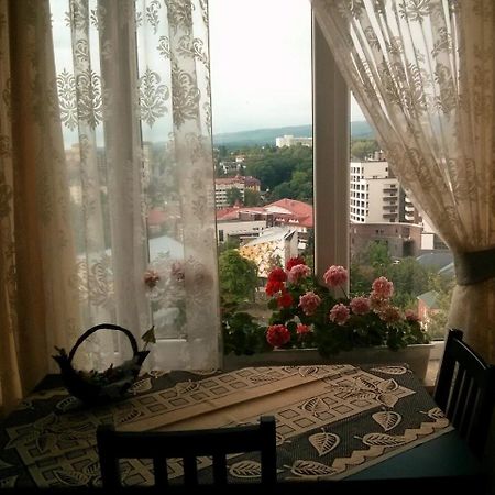Sunny Apartment In The City Center Truskavets Exterior foto